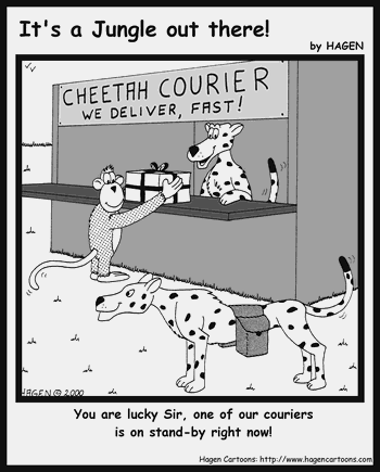Cheetah Courier