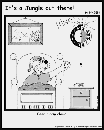 Bear alarm clock
