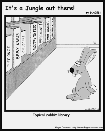 Typical rabbit library