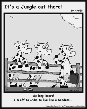 Cartoon, Cow, India