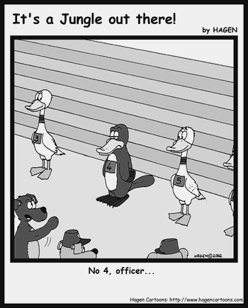 Cartoon, Platypus, Police Line-Up