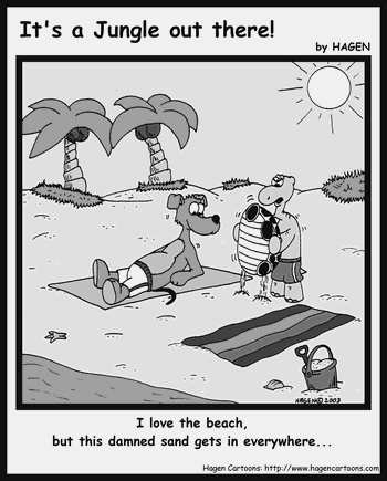 Cartoon, Tortoise, Beach, Sand