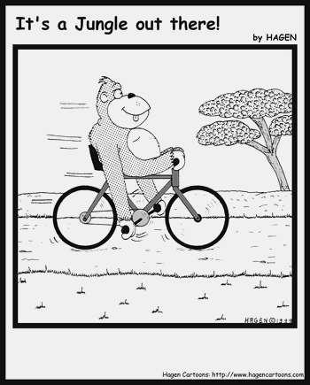 Gorilla bicycle