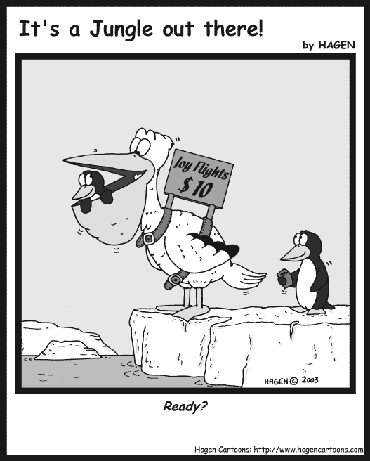 Cartoon, Pelican, Penguin, Flight