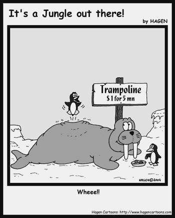 Cartoon, Walrus, Penguin, Trampoline