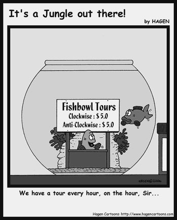 Cartoon, Fish, Bowl, Travel