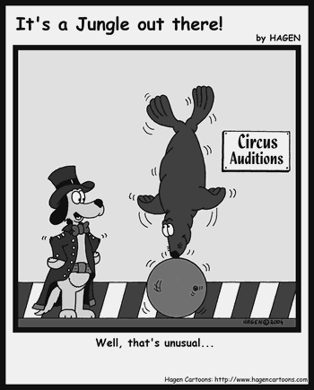 Cartoon, Seal, Circus
