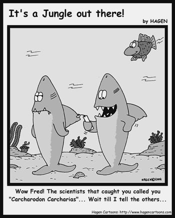 Cartoon, Shark, Scientist