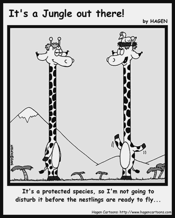 Cartoon, Giraffe, Bird