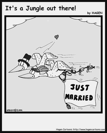 Cartoon, Bird, Wedding