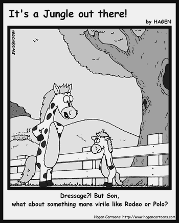 Cartoon, Horse, Rodeo, Dressage, Polo