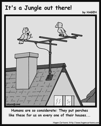 Cartoon, Bird, House, Antenna