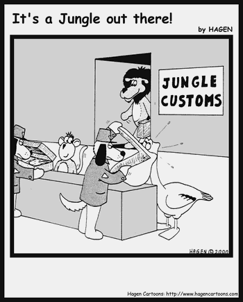 Jungle Customs