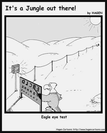 Eagle eye test