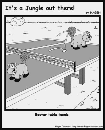 Beaver, Table Tennis