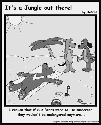 Sun Bear, sun bathing