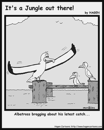 Cartoon, Albatross, Bragging