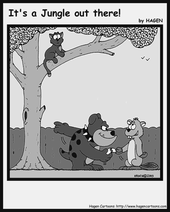 Cartoon, Dog, Cat, Beaver