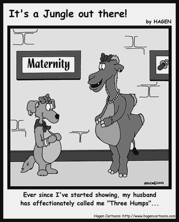 Cartoon, Camel, Maternity, Pregnancy