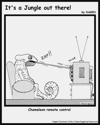 Chameleon remote control