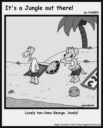 Cartoon, Tortoise, Turtle, Beach