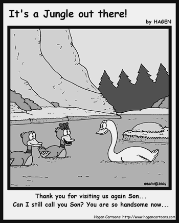Cartoon, Duck, Swan