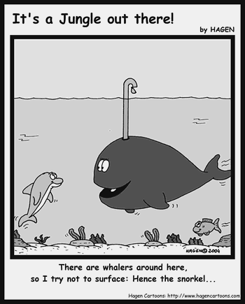 Cartoon, Whale, Snorkel