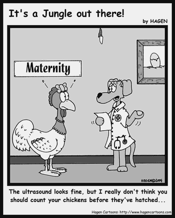 Cartoon, Hen, Egg, Maternity, Doctor