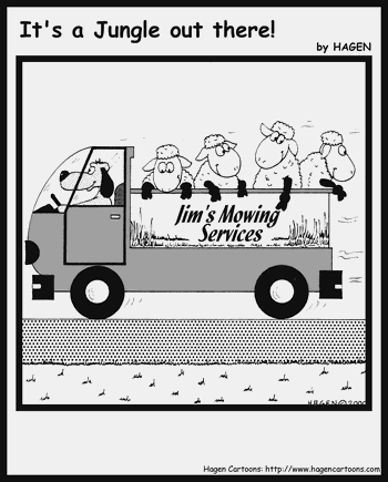 Jim's Mowing Services