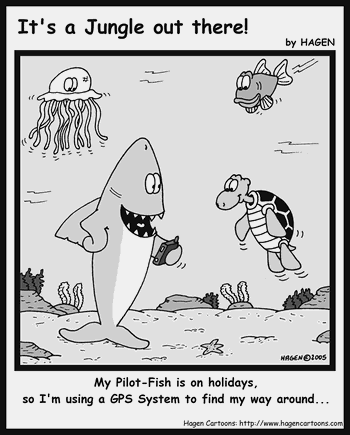 Cartoon, Shark, GPS, Pilot, Fish
