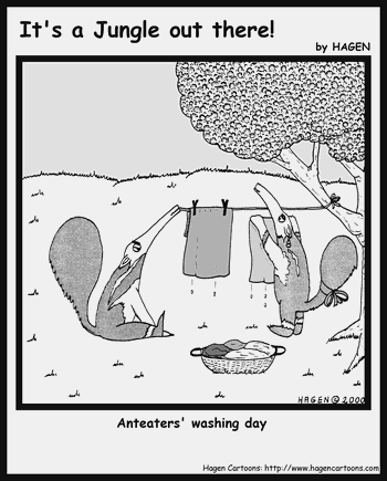 Anteater's washing day